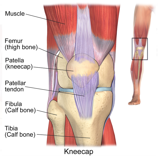 pain over kneecap